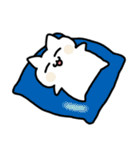 しろねこみーたん2 日常編（文字なし）（個別スタンプ：8）