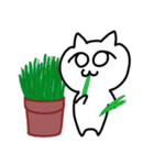 しろねこみーたん2 日常編（文字なし）（個別スタンプ：32）
