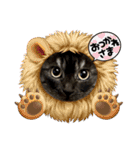 保護猫 アビー ④（個別スタンプ：1）