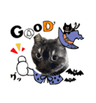 保護猫 アビー ④（個別スタンプ：31）