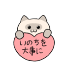 ぽっちゃりシャム猫(よく使う言葉)（個別スタンプ：11）