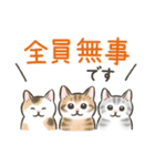 防災・連絡☆猫たちのスタンプ（個別スタンプ：6）