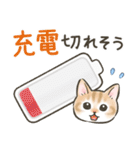 防災・連絡☆猫たちのスタンプ（個別スタンプ：9）