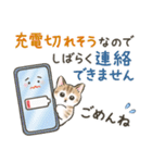 防災・連絡☆猫たちのスタンプ（個別スタンプ：10）