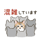 防災・連絡☆猫たちのスタンプ（個別スタンプ：16）