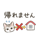 防災・連絡☆猫たちのスタンプ（個別スタンプ：19）