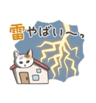 防災・連絡☆猫たちのスタンプ（個別スタンプ：28）