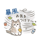 防災・連絡☆猫たちのスタンプ（個別スタンプ：30）