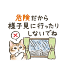 防災・連絡☆猫たちのスタンプ（個別スタンプ：32）