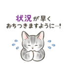 防災・連絡☆猫たちのスタンプ（個別スタンプ：33）