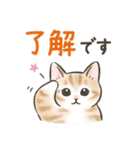 防災・連絡☆猫たちのスタンプ（個別スタンプ：36）