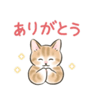 防災・連絡☆猫たちのスタンプ（個別スタンプ：39）