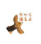 #毎日コニーちゃん（個別スタンプ：20）