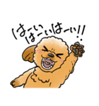 COCO-ZU わんこの日常スタンプ（個別スタンプ：8）