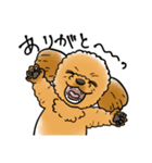COCO-ZU わんこの日常スタンプ（個別スタンプ：10）