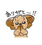 COCO-ZU わんこの日常スタンプ（個別スタンプ：11）