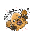 COCO-ZU わんこの日常スタンプ（個別スタンプ：14）