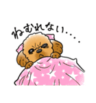 COCO-ZU わんこの日常スタンプ（個別スタンプ：16）