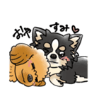 COCO-ZU わんこの日常スタンプ（個別スタンプ：17）