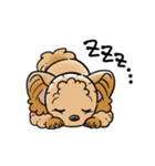 COCO-ZU わんこの日常スタンプ（個別スタンプ：18）