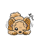 COCO-ZU わんこの日常スタンプ（個別スタンプ：19）