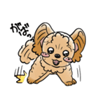 COCO-ZU わんこの日常スタンプ（個別スタンプ：20）