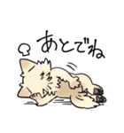 COCO-ZU わんこの日常スタンプ（個別スタンプ：23）