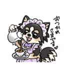 COCO-ZU わんこの日常スタンプ（個別スタンプ：24）