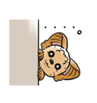 COCO-ZU わんこの日常スタンプ（個別スタンプ：25）