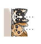COCO-ZU わんこの日常スタンプ（個別スタンプ：26）