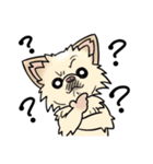 COCO-ZU わんこの日常スタンプ（個別スタンプ：27）