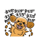 COCO-ZU わんこの日常スタンプ（個別スタンプ：28）