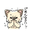 COCO-ZU わんこの日常スタンプ（個別スタンプ：30）