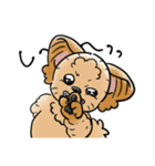 COCO-ZU わんこの日常スタンプ（個別スタンプ：36）