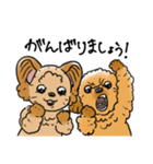 COCO-ZU わんこの日常スタンプ（個別スタンプ：37）