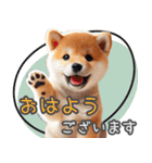 リアルシリーズ＃豆柴子犬1【敬語・仕事】（個別スタンプ：1）