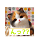 おしゃべりな三毛猫達（個別スタンプ：13）