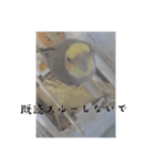 おこめ（オカメインコ）第三弾（個別スタンプ：4）