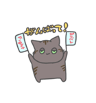 ねこの日常(あんこ)（個別スタンプ：6）