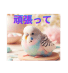 カワイイ✨鳥達✨セキセインコ✨癒し✨（個別スタンプ：13）