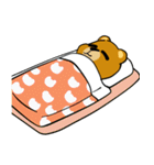 はいいろくまと夏 1（個別スタンプ：6）