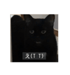 怠惰猫（字幕付き）（個別スタンプ：7）