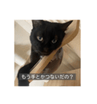 怠惰猫（字幕付き）（個別スタンプ：20）