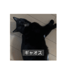 怠惰猫（字幕付き）（個別スタンプ：27）