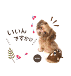 中身は粒あんです⋈˖*（個別スタンプ：27）