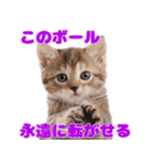 猫が伝えたいキモチ（個別スタンプ：20）