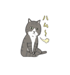 構われたい猫（個別スタンプ：13）