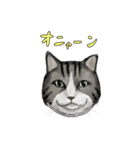 構われたい猫（個別スタンプ：22）