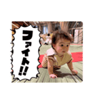 せんちゃん壱（個別スタンプ：5）