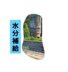 関東で活躍していたり保存されたりする鉄道（個別スタンプ：9）